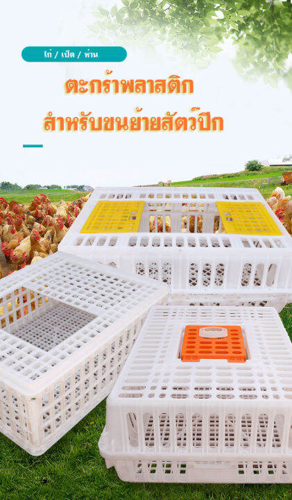 กล่องสำหรับขนส่งไก่-เป็ด-ห่าน-ตะกร้าพลาสติกขนย้ายสัตว์ปีก-2-ประตู