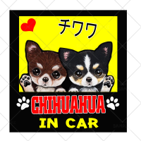 AJ9 Chihuahau in Car สติ๊กเกอร์ สุนัข หมา สติกเกอร์ การ์ตูน สั่งทำ สติ๊กเกอร์ติดรถ กันน้ำ ไวนิล สติ๊กเกอร์ติดรถยนต์ แต่งรถ