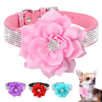 Bling Rhinestone Dog Collar Glitter Rhinestone Puppy Cat Collars With Flower Fashion Crystal Dogs Cats สร้อยคอสำหรับชิวาวา-mqte1745