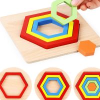 Shape Cognition Board Childrens Jigsaw Puzzle Wooden Toys Kids Educational Toy Baby Montessori Learning Match Bricks Toys