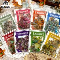 Mr. Paper 8 Style Vintage Plant Sticker Creative Beauty Flower Fairy Hand Account Material Decoration Stationery Sticker