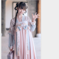 2022 Han element ancient costume women Improved Hanfu chest-length skirt Embroidered fairy skirt Antique everyday Han elements