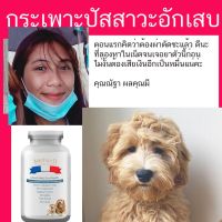 ส่งฟรีทุกรายการ อาหารสลายนิ่วสุนัข อาหารสุนัข s/d ยาสลายนิ่วสุนัข สมุนไพรรักษานิ่วในสุนัข อาหารสลายนิ่วสุนัขพันธุ์เล็ก Royal Canin สูตร