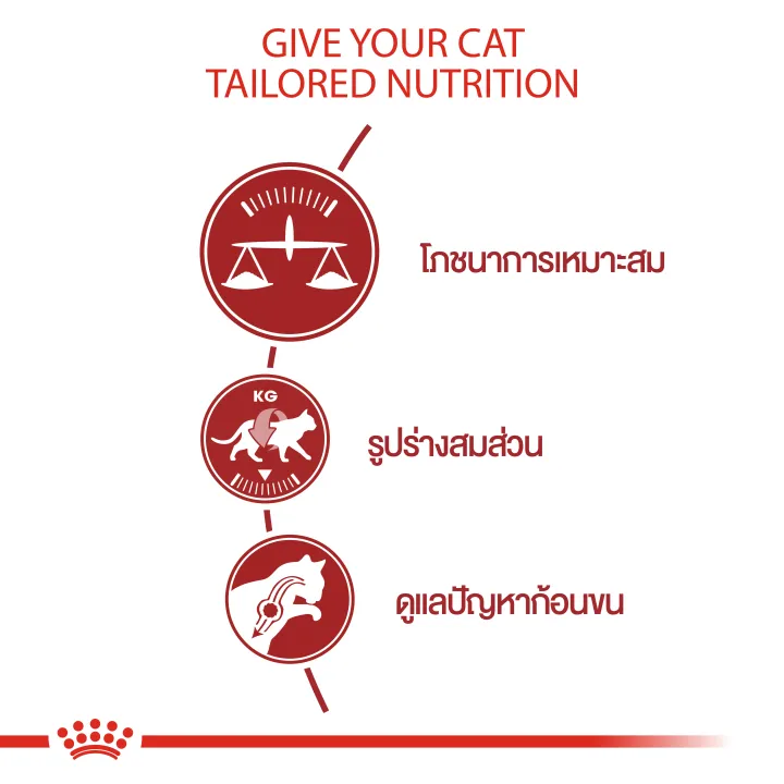 หมดอายุ5-2024-royal-canin-fit-400g-อาหารแมวโตคุมรูปร่าง-ดูแลระบบปัสสาวะ-ดูแลก้อนขน