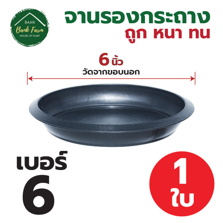 จานรองกระถาง6-นิ้ว-สีดำ-1-10ใบ-จานรองกระถางราคาถูก-จานรองกระถางพลาสติก-จานรองต้นไม้-l-บ้านแบงค์ฟาร์ม