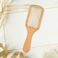 【CC】 Comb Hair Air Cushion Spa Massage Wood Inserts Combs Anti-static Suitable for Ladies Etc