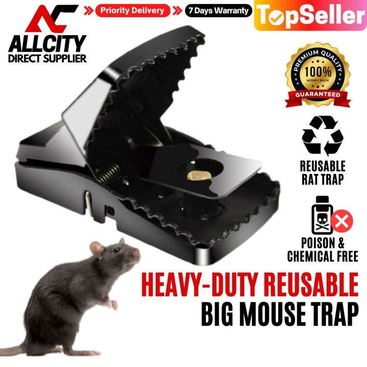 Mouse Rat Trap | Reusable Mouse Trap for Big Rat | Eco-Friendly Rat ...