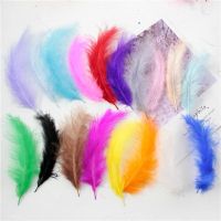 Feathers 10-15cm Turkey 4-6 Inches 50 Pcs Feather Colorful Plumas Para Manualidades Wedding Decoration