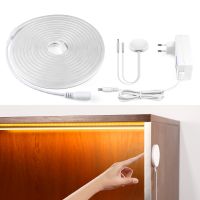 Kitchen Touch Sensor Dimmable Switch DC12V Neon Light LED Strip Penetrable Wood Hand Sweep Neon Rope Tube Lamp Home Garden Decor