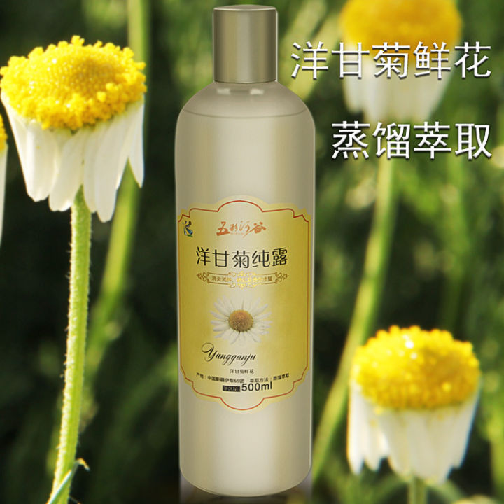 cod-จัดหาซินเจียงโรมันคาโมไมล์-chamomile-ดอกไม้น้ำ-500ml-ธรรมชาติ