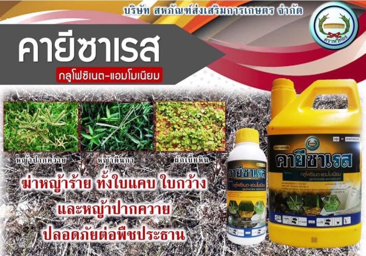 ลัง-525บาทคายีซาเรส-กลูโฟซิเนต-แอมโมเนียม-ขนาดบรรจุ-4-ลิตร-1ลัง-6แกลอน