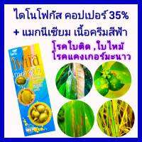 คอปเปอร์ คอปเปอร์น้ำ น้ำครีมสีฟ้า ไดโนโฟกัส1ลิตร กำจัดเชื้อรา แบคทีเรีย โรคใบติด ใบไหม้ ใบจุดสาหร่าย โรคแคงเกอร์ กิ่งแห้งทุเรียน