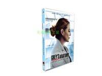 Intern grey season 17 grey S anatomy 4DVD HD American drama DVD