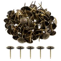 ✺ 100 Pcs Chrysanthemum Bubble Nail Decorative Nails Pushpins Metal Pattern Upholstery Tacks Furniture Iron