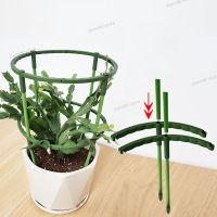 Plastic Flower Plant Support Pile Orchid Stand Holder For Semicircle Greenhouses Fixing Rod Holder Bonsai Garden Tools WB5TH