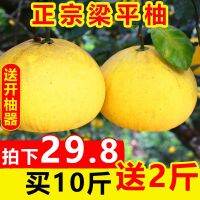 [COD] Liangping pomelo Chongqing native product Liangshan hemp flat-top pregnant women freshly picked fruit season 10 catties