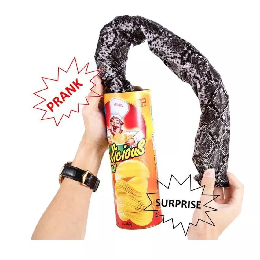 The FunFamz Original Snake in a Potato Chip Can Prank-Funny Classic Snake  in a Can Prank for Kids, Snake in a Can Trick Gag Gift Toy & Scary Shock