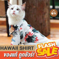 ?ถูกสุด! พร้อมส่ง?Hawaii Shirt เสื้อฮาวาย สำหรับสัตว์เลี้ยง ชุดเที่ยวของสัตว์เลี้ยง ราคา 88.- (จากปกติ 119.-)