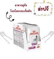 -ส่งฟรี- Royal Canin Early Renal Dog pouch 100 G. อาหารเปียกสำหรับสุนัขที่เป็นโรคไตเริ่มต้น หรือ สุนัขสูงอายุ 12 ซอง