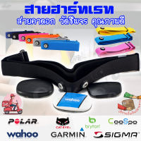 อะไหล่ สายคาดอก สายคาดหน้าอก สายรัด วัดชีพจร Garmin Polar Wahoo Bryton Sigma Cateye Coospo Heart Rate Monitor ที่เสีย ยืด ไม่วัดหัวใจ สีสันสด เหมาะกับบุคลิก ราคาถูก