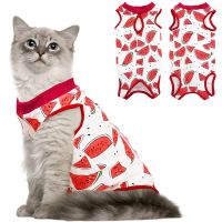 Cat Surgery Recovery Suit for Surgical Abdominal Wounds Home Indoor Pet Clothing E-Collar Alternative for Cats Dog after Surgery Clothing Shoes Access