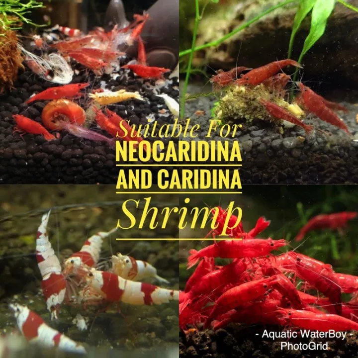 [Imported Shrimp Food] Neocaridina & Caridina Shrimp Food / Refill Pack