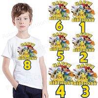 Anime Fusible Sticker for Kids Clothing Happy Birthday Numbers 1-12 Years Transfer Appliques