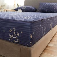 Version A B Six Sides All Inclusive Quilted Mattress Cover Embossed Quilted King Mattress Protector Anti Dust Mite