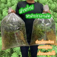 ?สาหร่ายหางกระรอกสด 600 กรัม ปลอดสาร  ช่วยเพิ่มออกซิเจนในน้ำ ตกแต่งตู้ปลา เป็นอาหารปลา อาหารกุ้ง อาหารสัตว์น้ำ