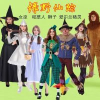Wizard of Oz Costume Dorothy Lion Tin Man Sorcerer Scarecrow