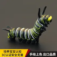 Solid childrens simulation insect toy model suit caterpillar Monarch butterfly larva cognitive gift decoration