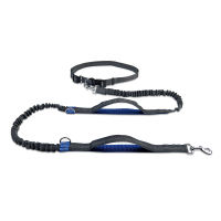 New Reflective Leash Traction Rope Pet Dog Cozy Walking Belt Elastic Hands Freely Hiking No Pull Dog Leash Metal D-ring Leashes