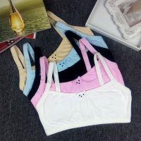 Girls Vest Underwear Student Girls Models Development Period Cotton Small Bra Wrapped Chest 8 to 16 Years