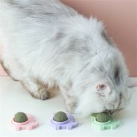 Catnip Wall Ball Cartoon Dinosaur Shape Self Hi Rotating Catnip Toy Kitten Teeth Cleaning Chew Toy Peppermint Ball Toys