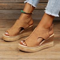 Summer Sandals Womens Shoes 2022 Trend Wedge Platform Casual Flat Designer Elegant Party Heels Womens Shoes Plus Size 42