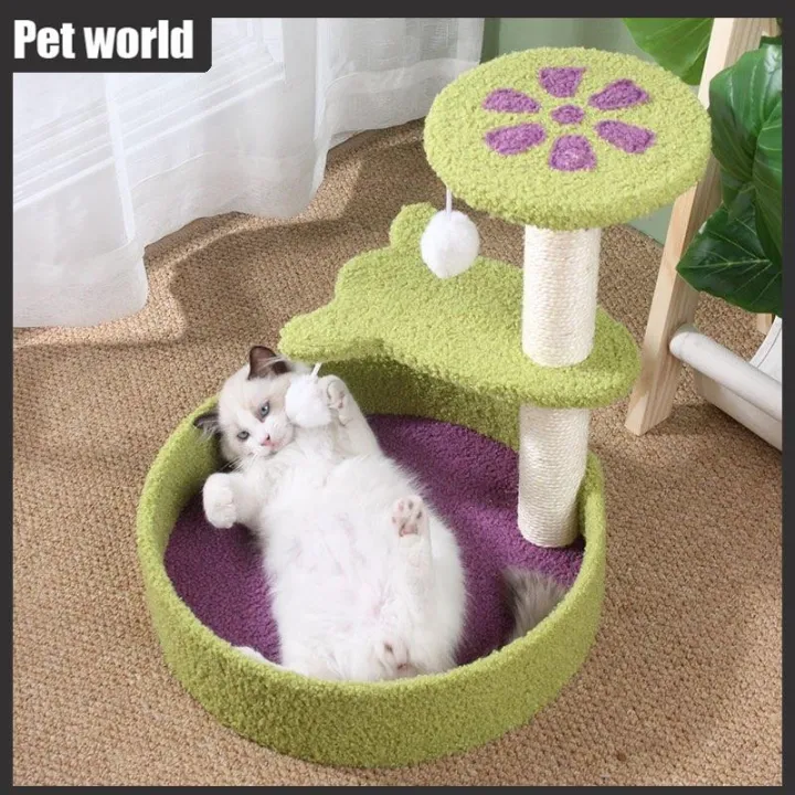Pet world Cat tree cat condo small size colorful design Lazada PH
