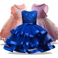 Elegant Kids Party Dresses For Girls Princess Dress Flower Girls Wedding Dress Children Formal Prom Dresses For Girls Costume  by Hs2023