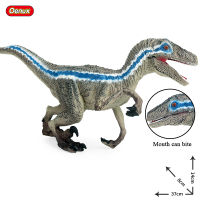 Oenux Big Size 37x8X14cm Original Jurassic Dinosaur Blue Velociraptor Mouth Can Open Dino Model Action Figures Collection Toy