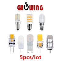 [Super bright bulb] 5ชิ้นโรงงานโดยตรง LED มินิหลอดไฟ Ac/ DC12V AC220V ข้าวโพดโคมไฟ E14 G4 G9 Super Bright อบอุ่นสีขาวสำหรับคริสตัลโคมระย้า