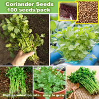 *เก็บปลายทาง*‼️พร้อมส่ง 100 เมล็ด/ซอง Organic Coriander Seeds Chinese Parsley/Cilantro Seeds เมล็ดพันธุ์ผัก เมล็ดผักต่างๆ Organic Vegetables Seeds ปลูกได้ทั้งปี เมล็ดพันธุ์ ปลูกผัก สวนครัว เมล็ด ปลูกง่าย ปลูกได้ทั่วไทย ต้นไม้ ต้นไม้มงคล Flowers Plants