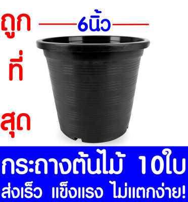 กระถางต้นไม้ กระถางพลาสติก ขนาด 6 นิ้ว 10ใบ กระถางกลม กระถางต้นไม้พลาสติก กระถางปลูกต้นไม้ กระถางดำ กระถางพลาสติกดำ Flower pot