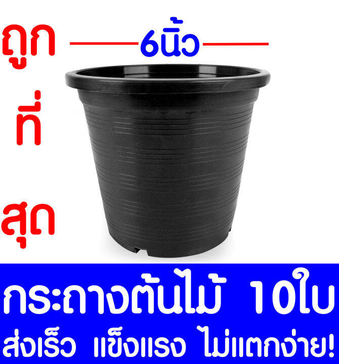 กระถางต้นไม้-กระถางพลาสติก-ขนาด-6-นิ้ว-10ใบ-กระถางกลม-กระถางต้นไม้พลาสติก-กระถางปลูกต้นไม้-กระถางดำ-กระถางพลาสติกดำ-flower-pot