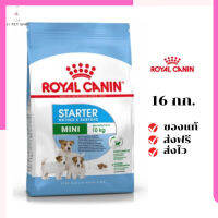 ?จัดส่งฟรีๆ Royal Canin ลูกสุนัข สูตร Mini Starter เม็ดเล็ก ขนาดสินค้า 16 kg เก็บเงินปลายทาง ✨