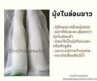 มุ้งไนล่อนขาว (ฺWhite Nylon Net) ตาข่ายไนล่อน มุ้งลวดประตูหน้าต่าง มุ้งกันแมลงหรือศัตรูพืช กระชังเลี้ยงสัตว์น้ำ การเกษตร