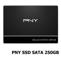 CS900 2.5 SATA III SSD ตัวเก็บข้อมูลแบบ SSD PNY .