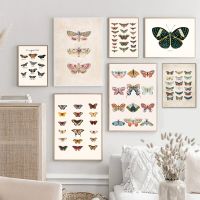 Sumanssa Boho Nursery Decor: Vintage Butterfly Canvas Art Prints &amp; Poster For Girls - Ideal Gift