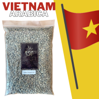 (AV01-16) สารกาแฟอาราบิก้า เวียดนาม ขนาด 16+ เกรด A รวม VIETNAM Arabica SC16+