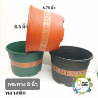 กระถาง Gardening 8.5 นิ้ว  // กระถางแคคตัส กระถางพลาสติก กระถางเกษตร