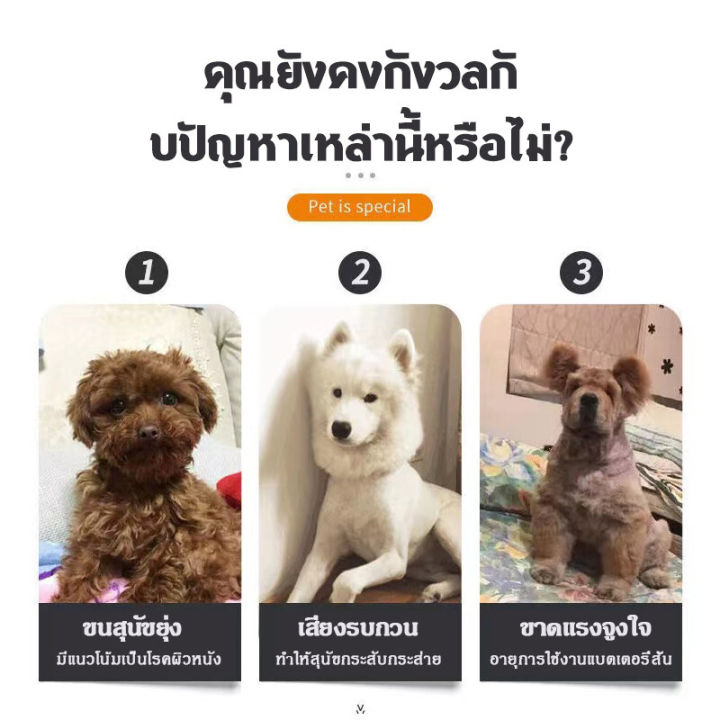 โปรโมชั่นขาดทุน-ปัตตาเลี่ยนตัดขนสุนัขไร้สาย-อุปกรณ์ตัดขนสุนัข-ขนแมว-และสัตว์เลี้ยงอื่นๆ-ที่ตัดขนสุนัข-รุ่น