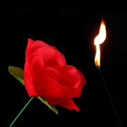 Dụng cụ ảo thuật ngọn lửa biến ra hoa hồng